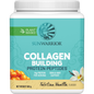 500g tub of Sunwarrior Collagen Building Protein Peptides in Tahitian Vanilla flavor on a white background.
