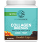 500g tub of Sunwarrior Collagen Building Protein Peptides in Chocolate Fudge flavor on a white background.
