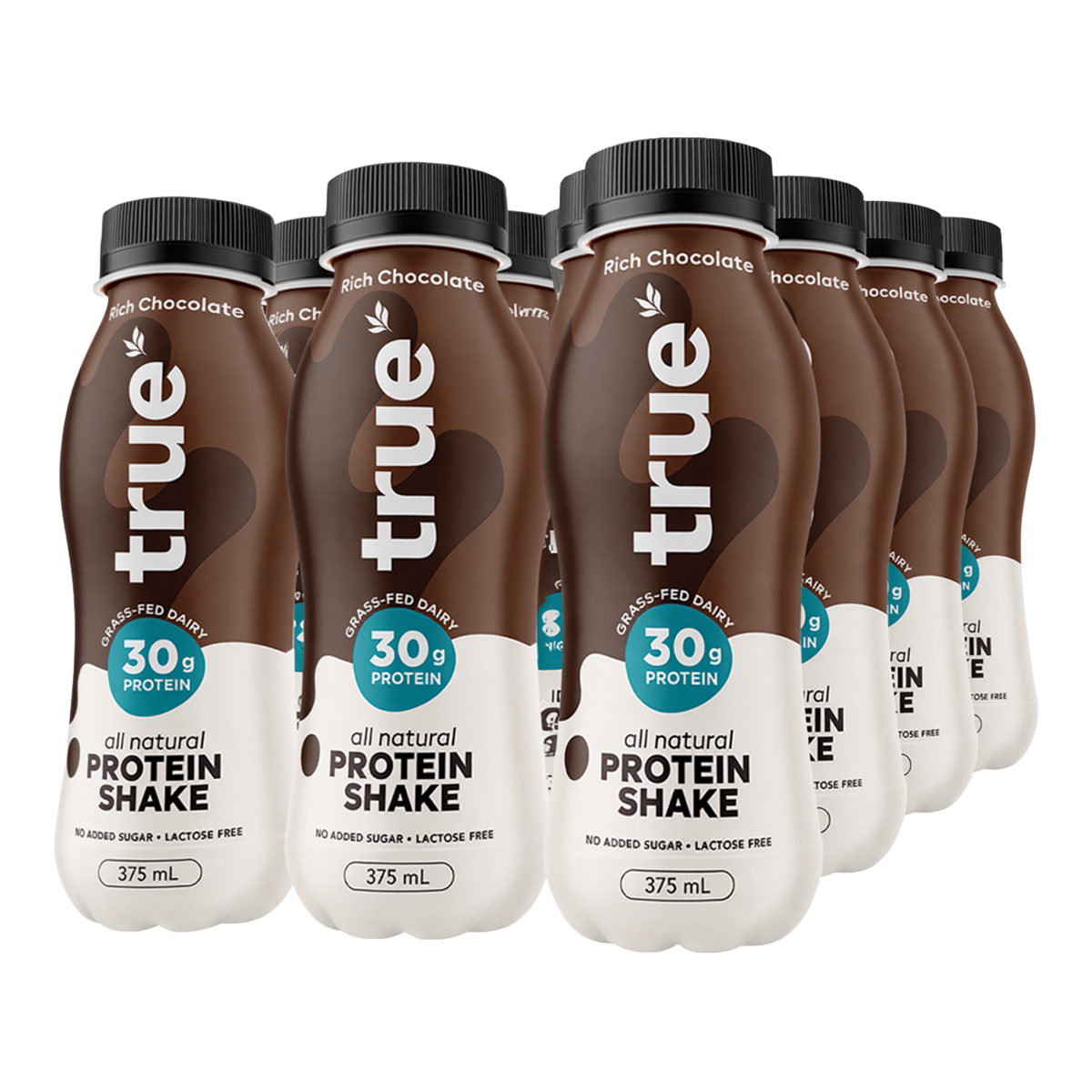 Six bottles of true protein shake arranged in a row on a white background. The bottles are dark brown with black caps and white lower labels, featuring the brand name 'true' and 'Rich Chocolate' text.