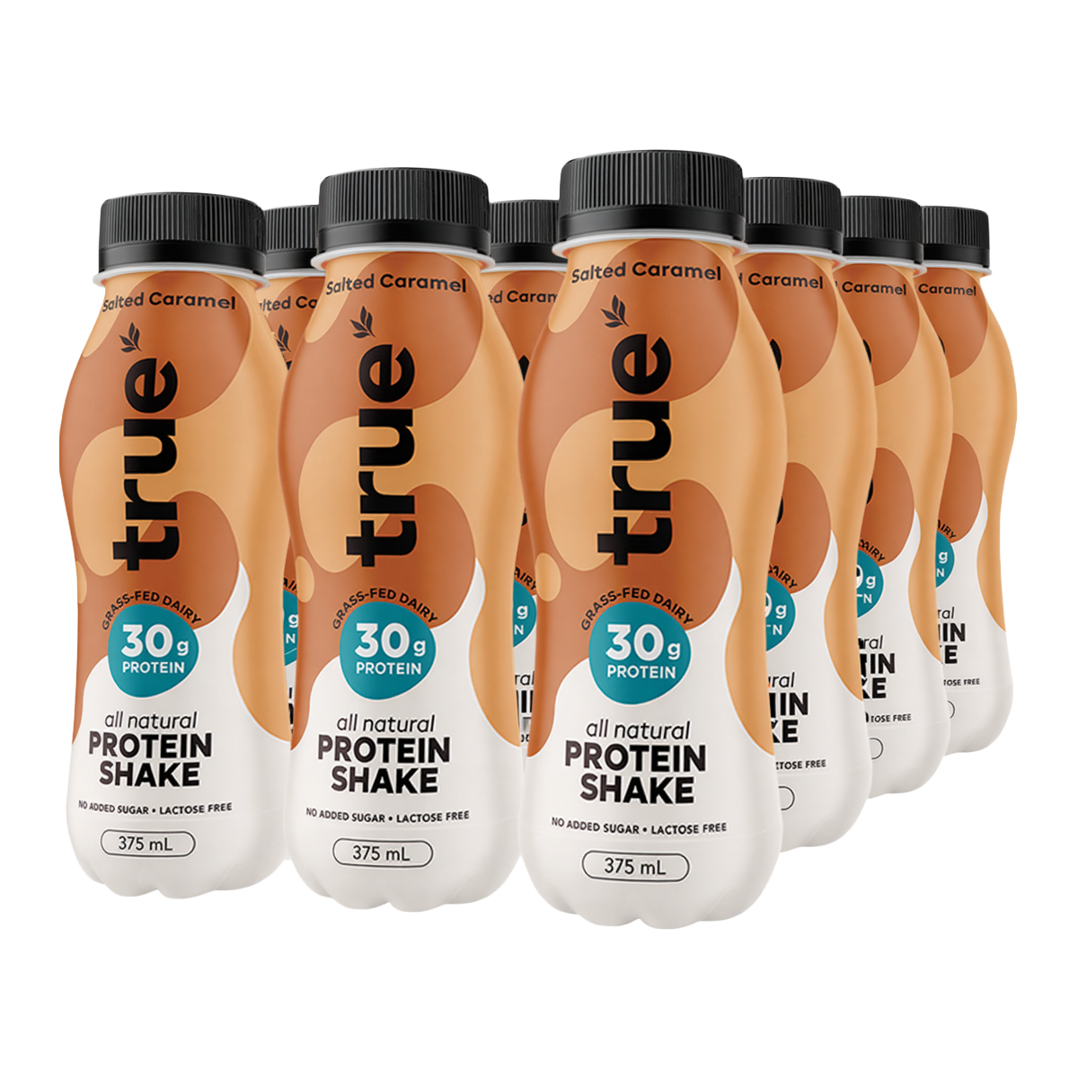 Six bottles of true protein powder arranged in a row on a white background. The bottles are filled with a salted caramel flavored protein shake, featuring a peach and white color scheme with black caps.