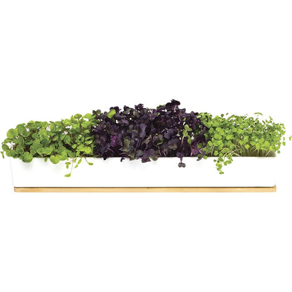 Urban Greens Windowsill Grow Kit Microgreens 45x8x6cm(Broccoli, Radish, Rocket Sprouting Seeds)