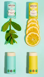 Flat lay of Citrus and Eucalyptus Weleda deodorant sticks with fresh lemon, bergamot, and eucalyptus leaves.