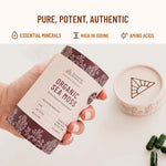 Close-up of Evolution Botanicals Organic Sea Moss 120 capsules tube highlighting its clean, botanical-themed label design.