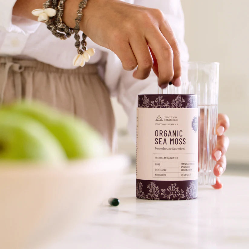 Lifestyle shot of the Evolution Botanicals Organic Sea Moss tube on a neutral surface with a wellness aesthetic.