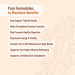 Infographic highlighting five benefits of Organic Sea Moss: thyroid, gut, immune, blood sugar, and heart health support.