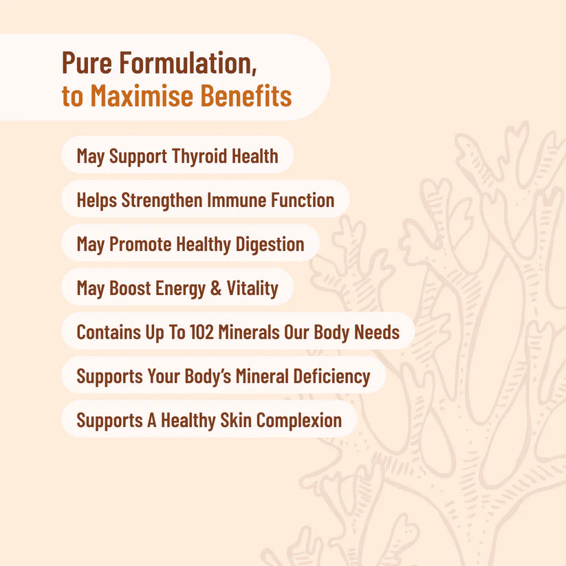 Infographic highlighting five benefits of Organic Sea Moss: thyroid, gut, immune, blood sugar, and heart health support.