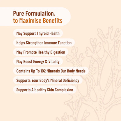 Evolution Botanicals Organic Sea Moss 120 Caps