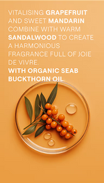 Fresh orange sea buckthorn berries with green leaves on a white background.