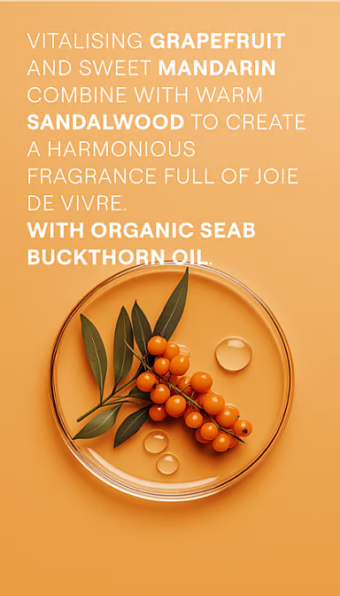 Fresh orange sea buckthorn berries with green leaves on a white background.